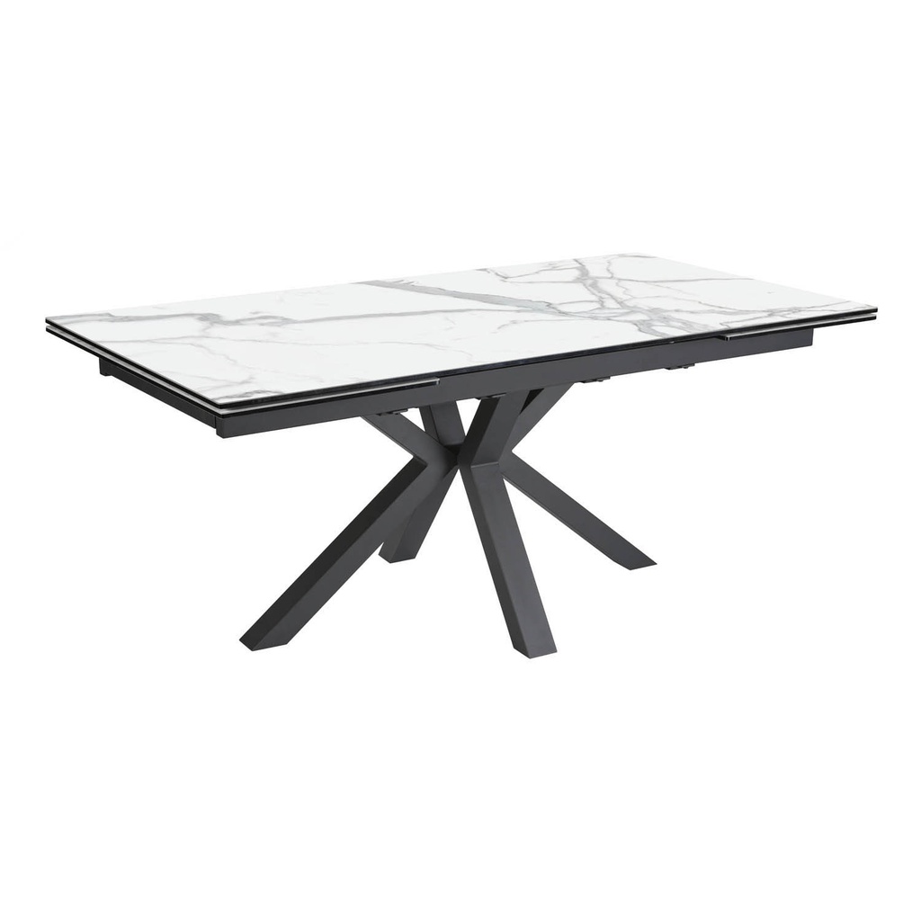 Table céramique Tournesol