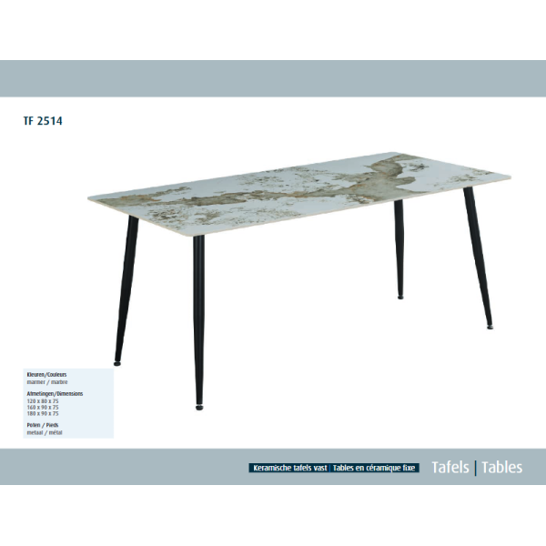 [TF2514] Table rectangulaire fixe 120cm Marble