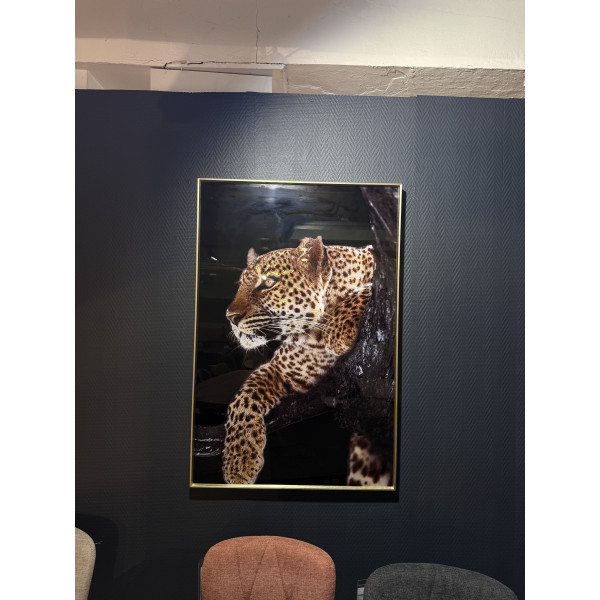 [C5384-7095] Photographie art panthères 80x120